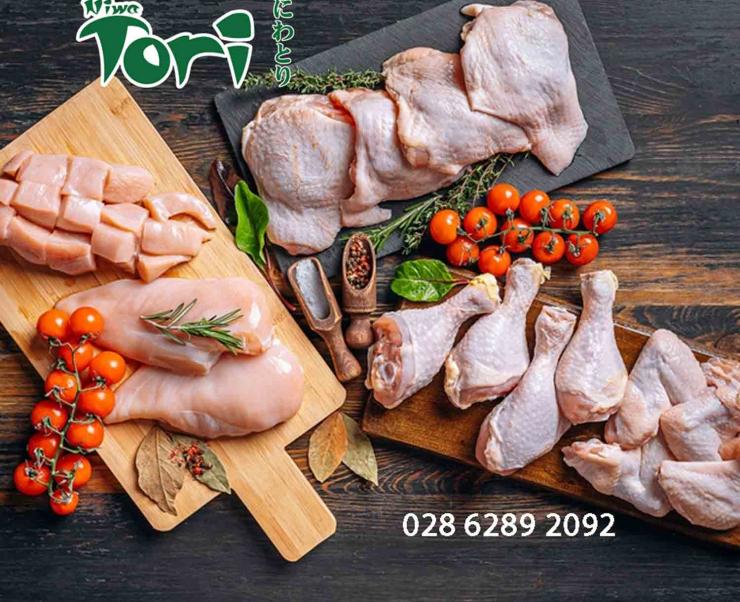 Công ty cung cấp thịt gà tươi