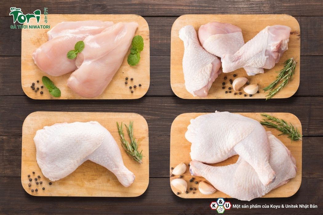 cong-ty-cung-cap-thit-ga