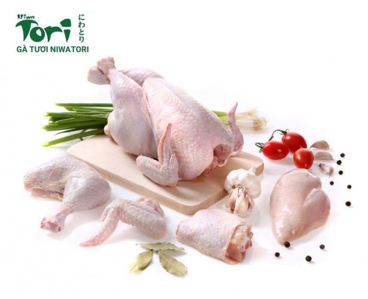 Cung Cấp Thịt Gà Tươi Sạch Với Giá Sỉ