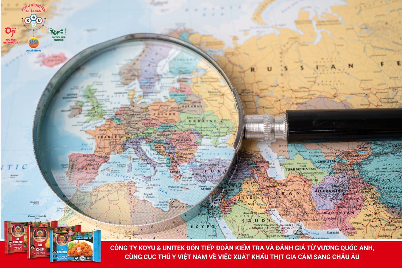 Xuất khẩu thịt gà sang Châu Âu