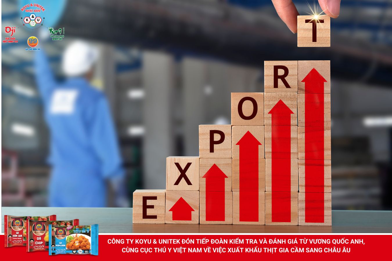 Xuất khẩu thịt gà sang Châu Âu