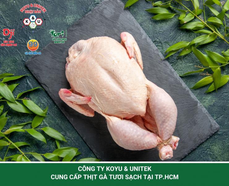 Cung cấp thịt gà tươi tại TP.HCM